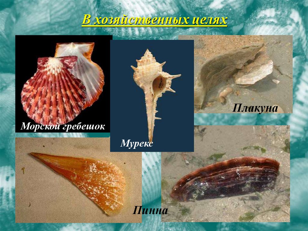 В хозяйственных целях