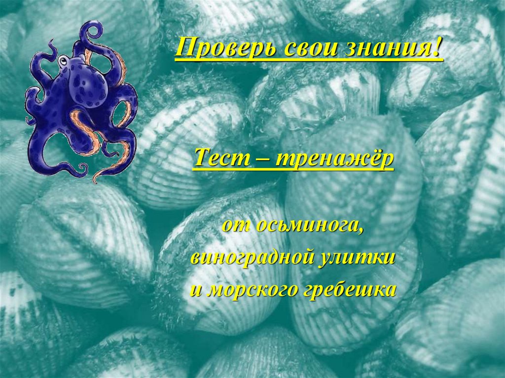 Проверь свои знания!