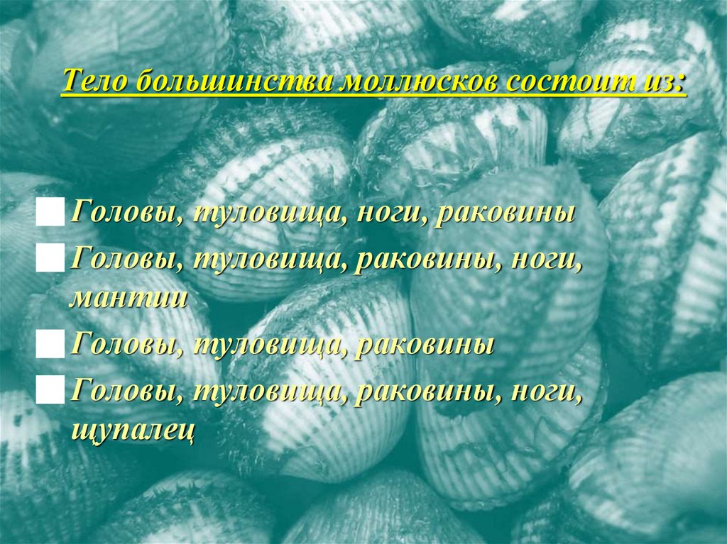 Тело большинства моллюсков состоит из: