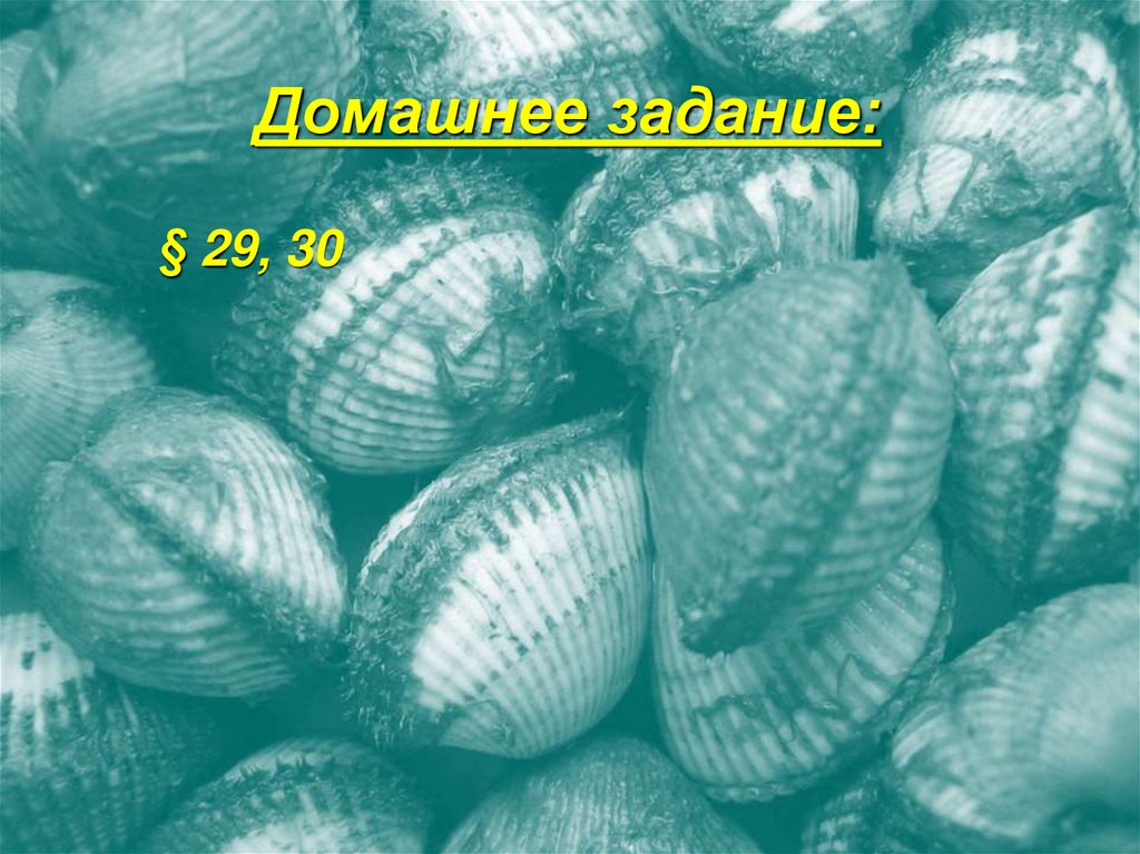 Домашнее задание: