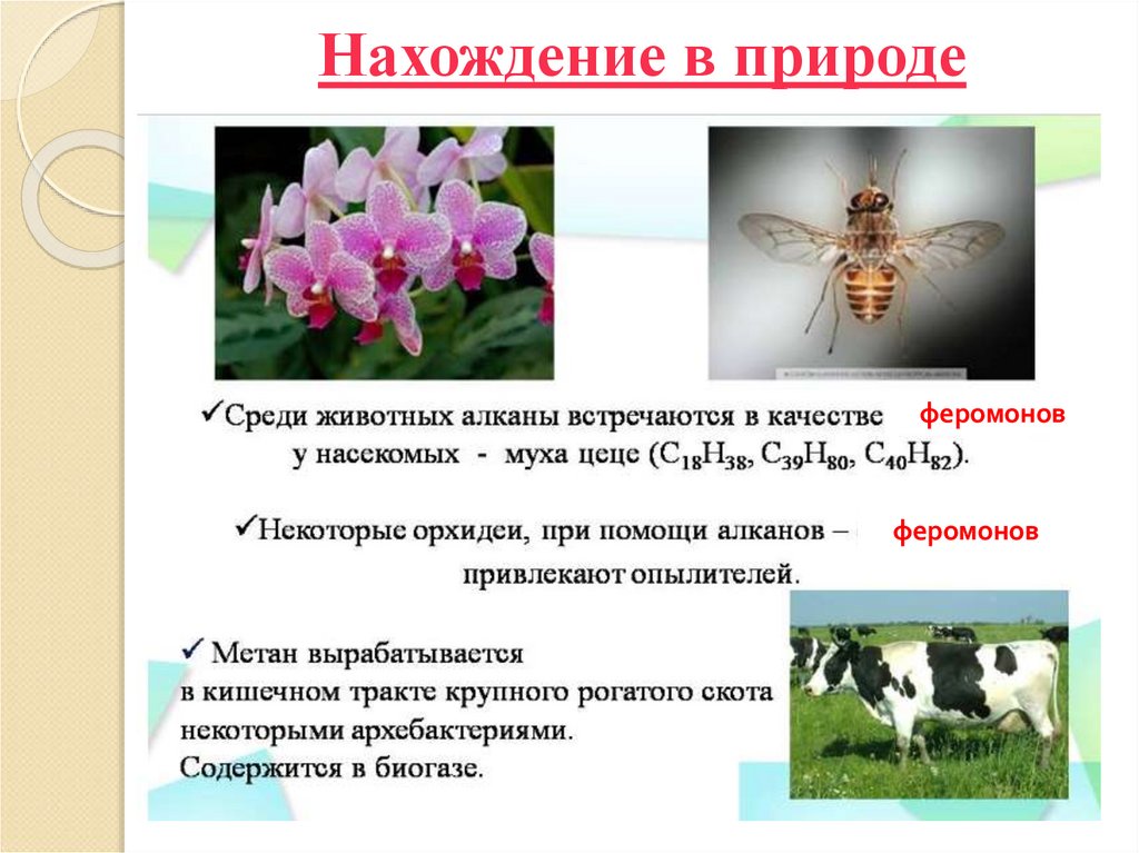 Нахождение в природе