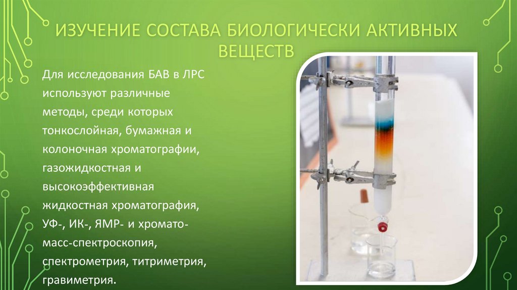 Изучение состава биологически активных веществ