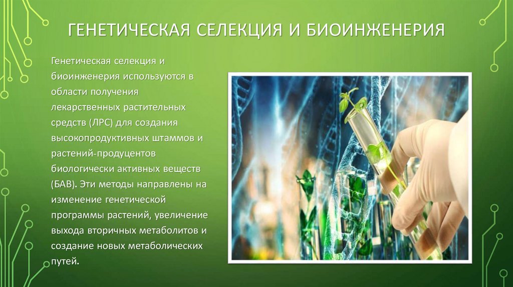 Генетическая селекция и биоинженерия