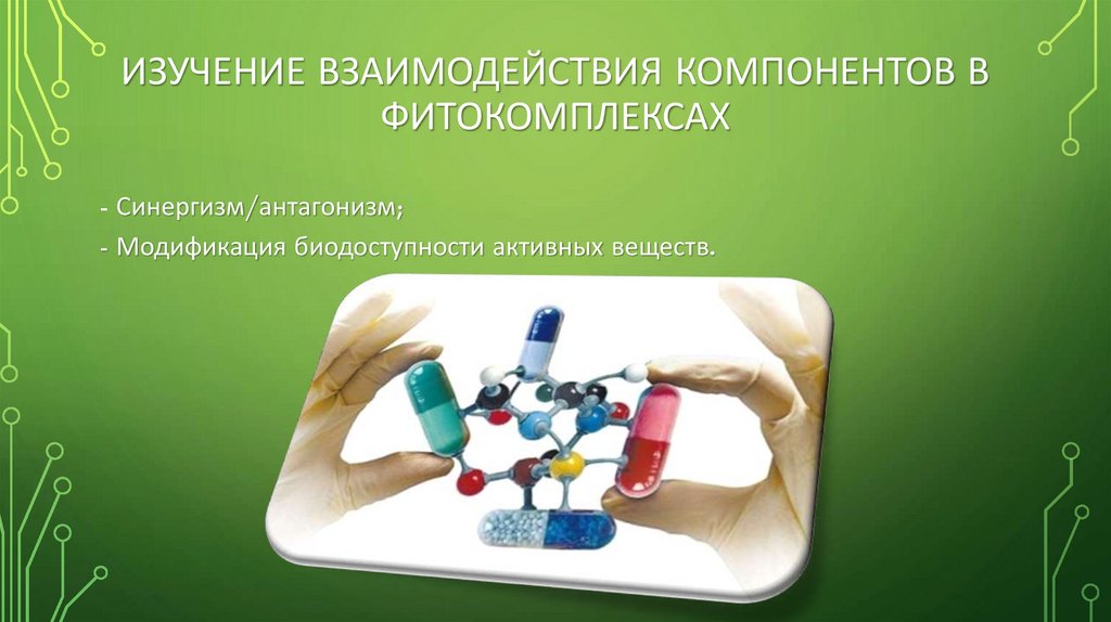 Изучение взаимодействия компонентов в фитокомплексах