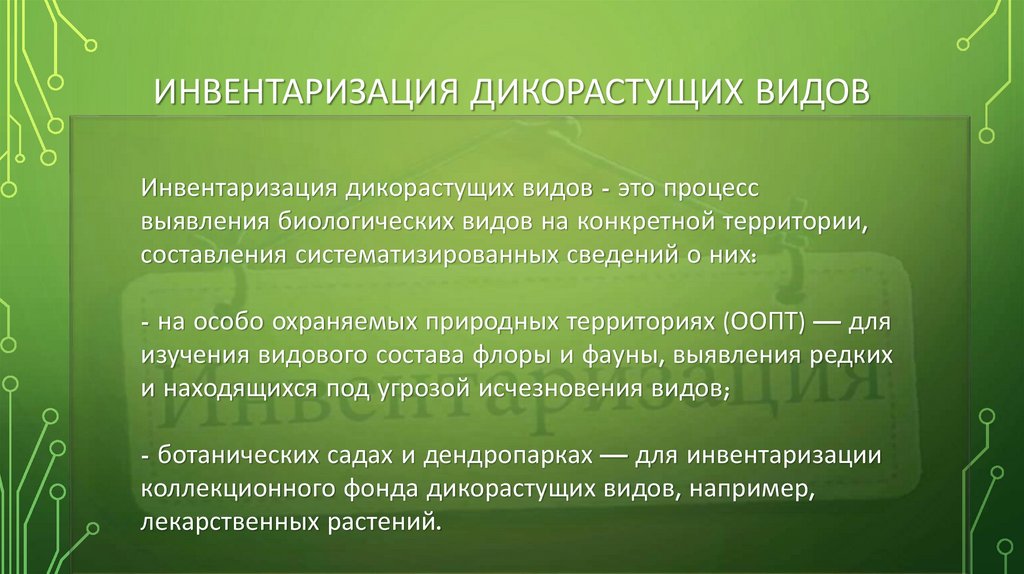 Инвентаризация дикорастущих видов