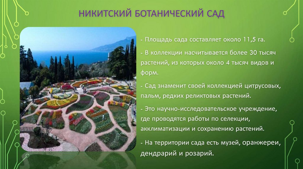 Никитский ботанический сад