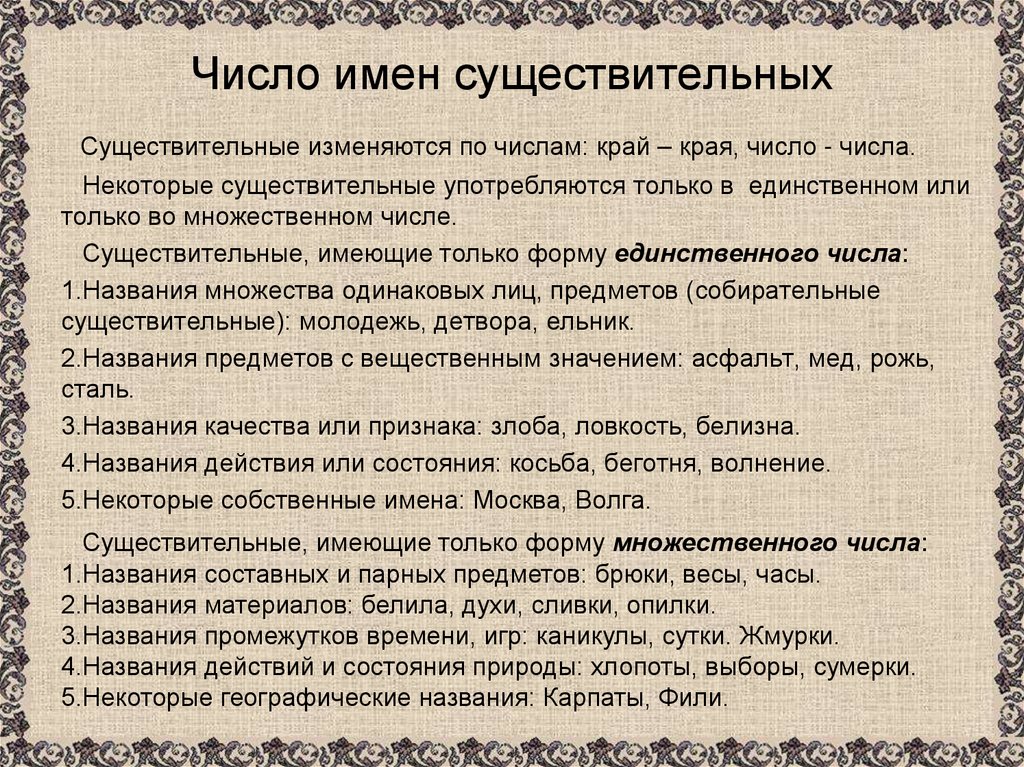 Число имен существительных