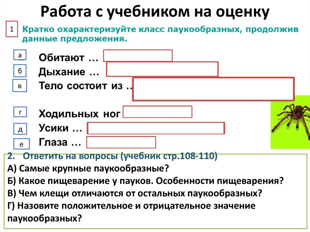 Работа с учебником на оценку