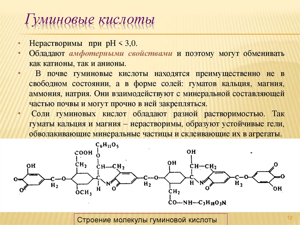 Гуминовые кислоты