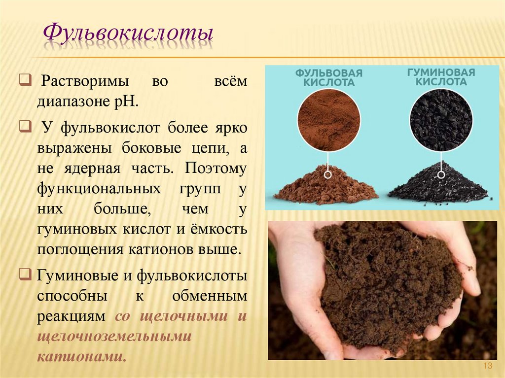 Фульвокислоты