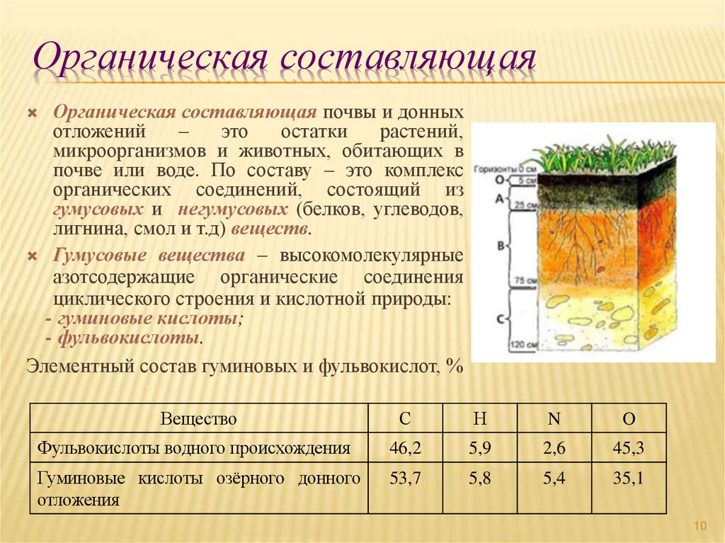 Органическая составляющая