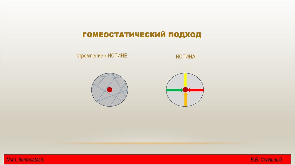 Гомеостатический подход