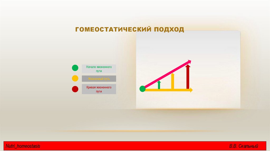 ГОМЕОСТАТИЧЕСКИЙ ПОДХОД