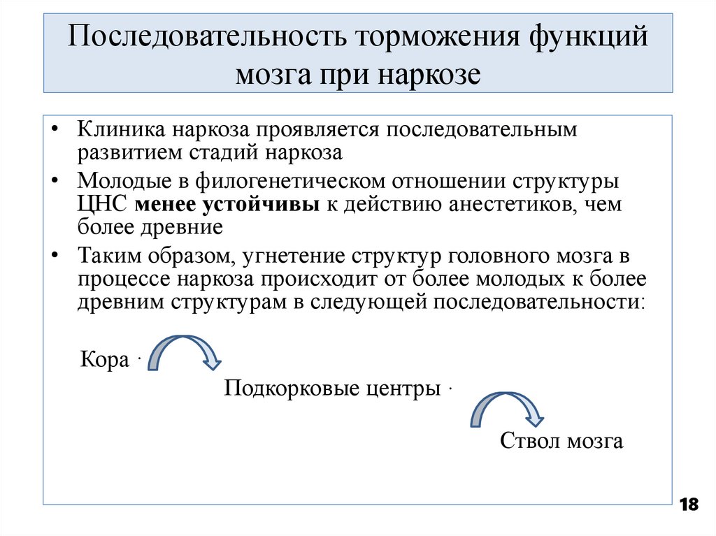 Последовательность торможения функций мозга при наркозе
