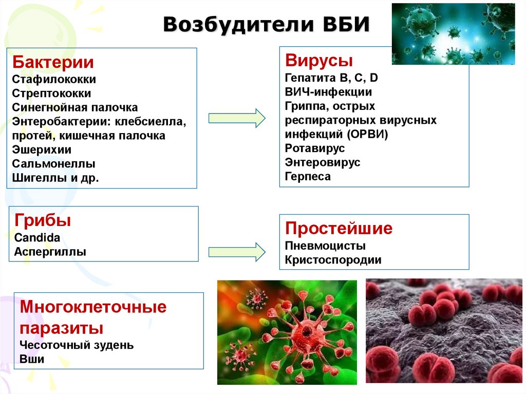 Возбудители ВБИ