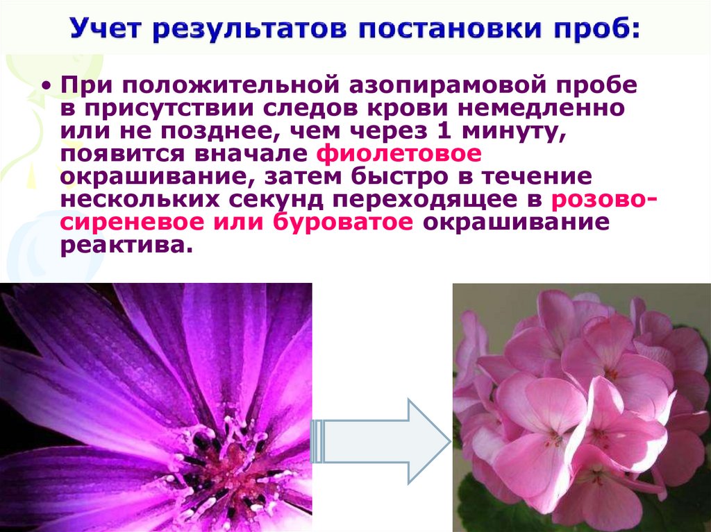 Учет результатов постановки проб: