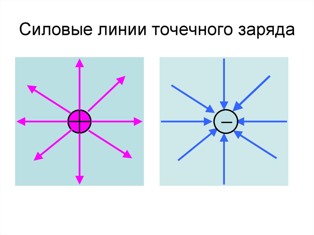 Силовые линии точечного заряда