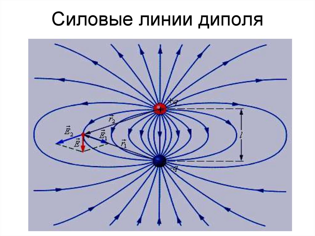 Силовые линии диполя