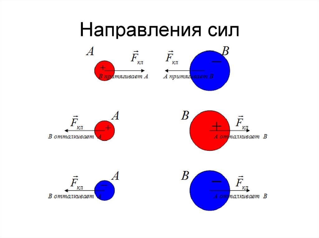 Направления сил