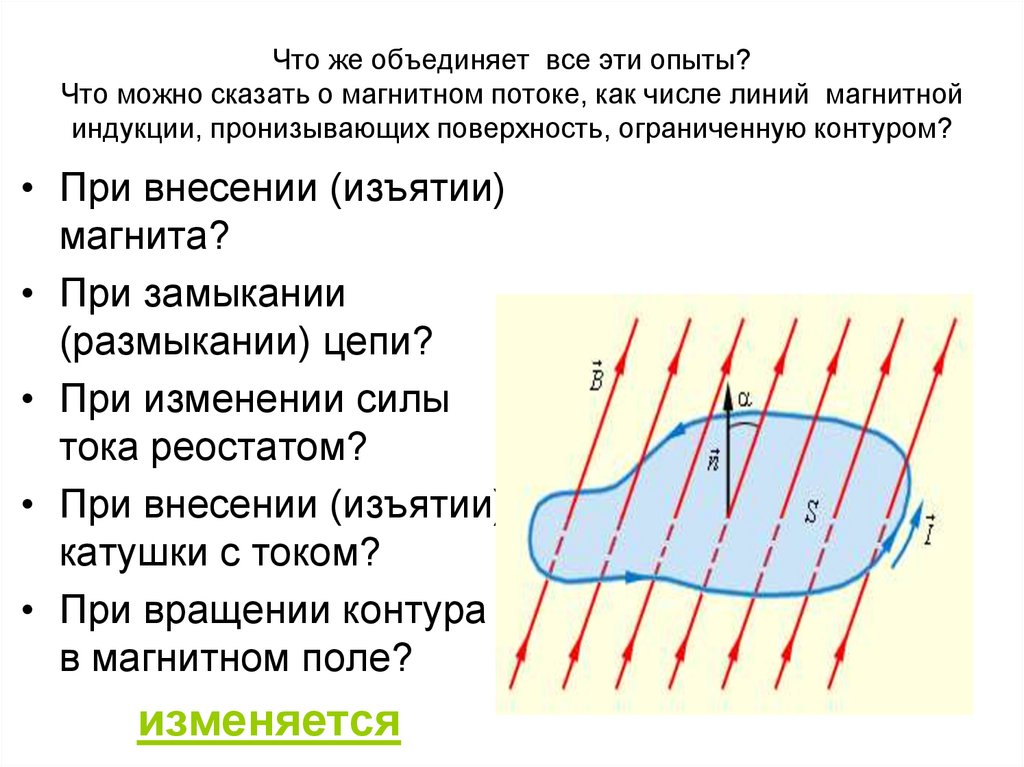 Что же объединяет все эти опыты? Что можно сказать о магнитном потоке, как числе линий магнитной индукции, пронизывающих