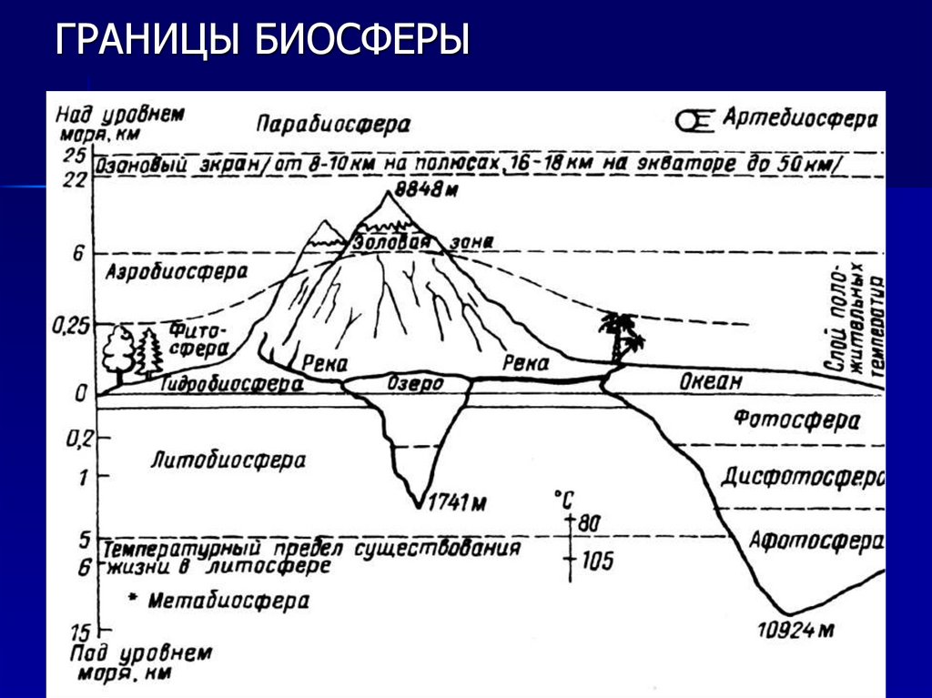 ГРАНИЦЫ БИОСФЕРЫ