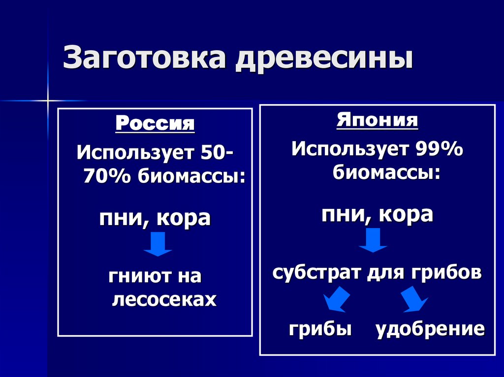 Заготовка древесины