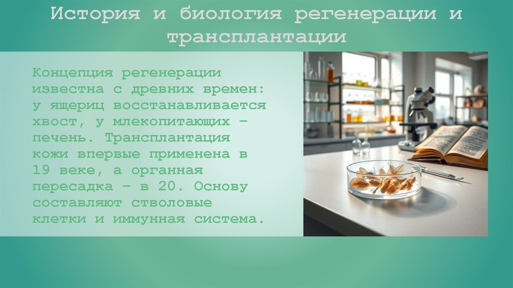История и биология регенерации и трансплантации