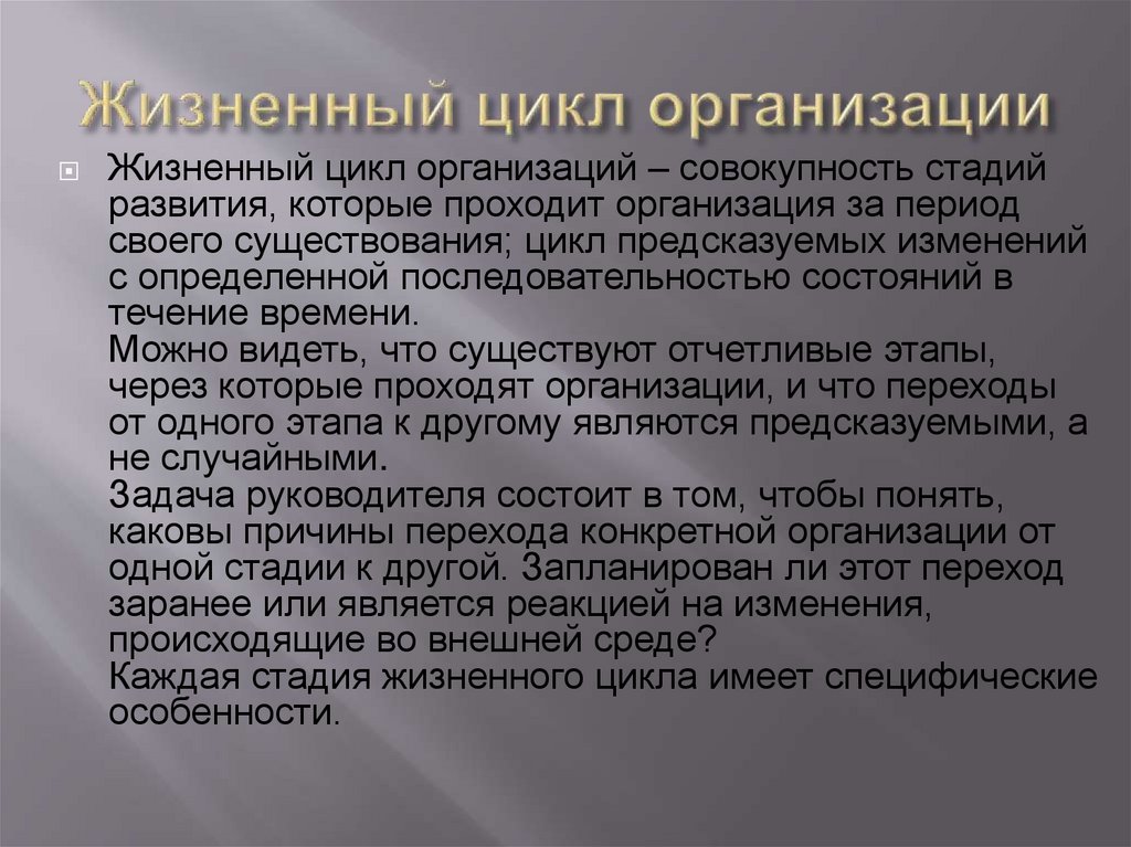 Жизненный цикл организации