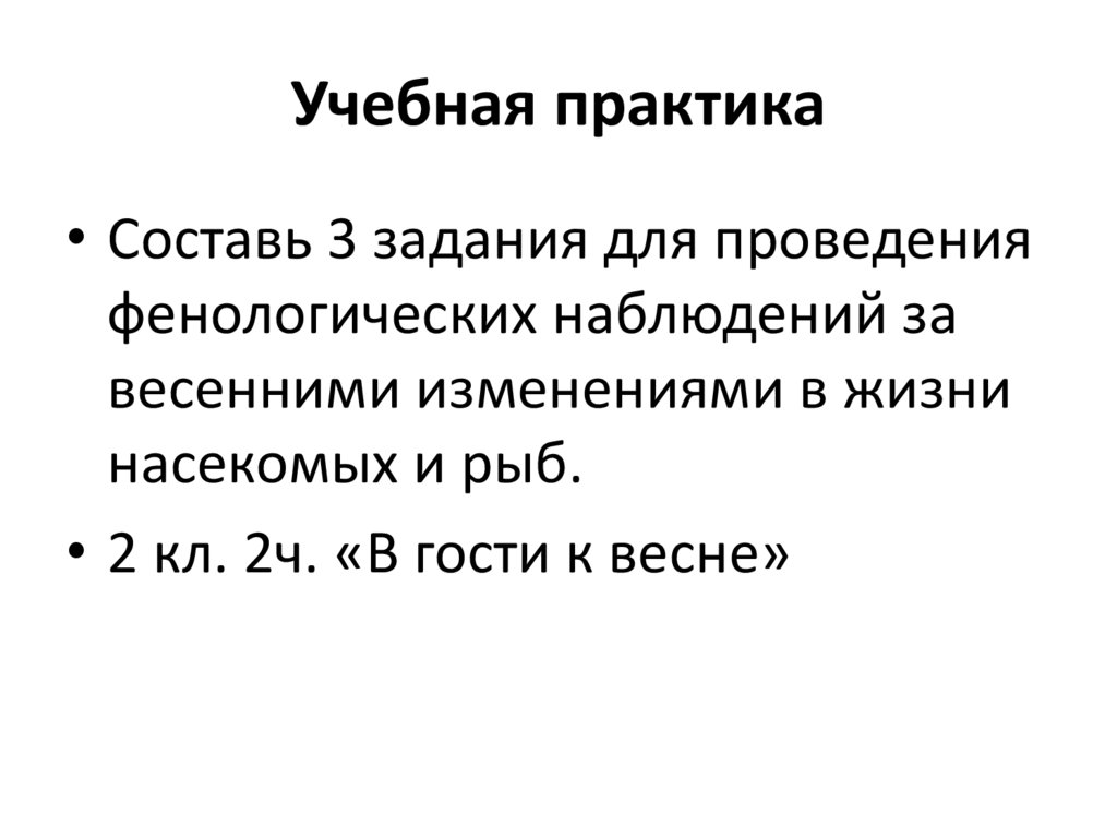 Учебная практика