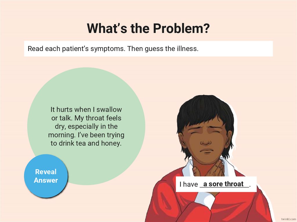 Put the words into the correct column.