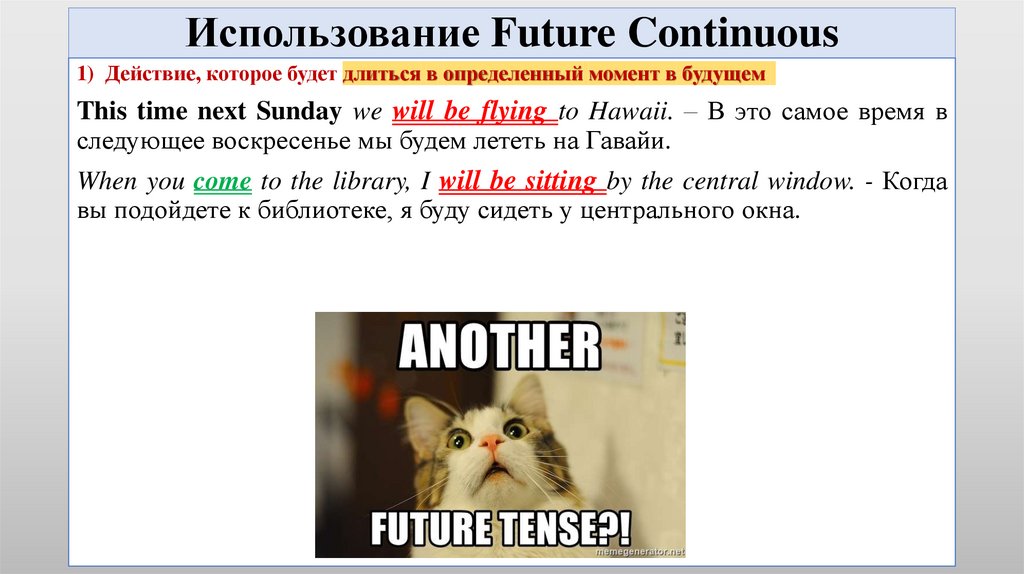 Разделите предложения на три группы: