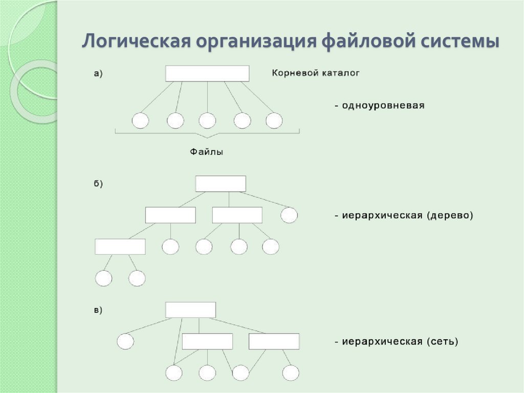 Логическая организация файловой системы