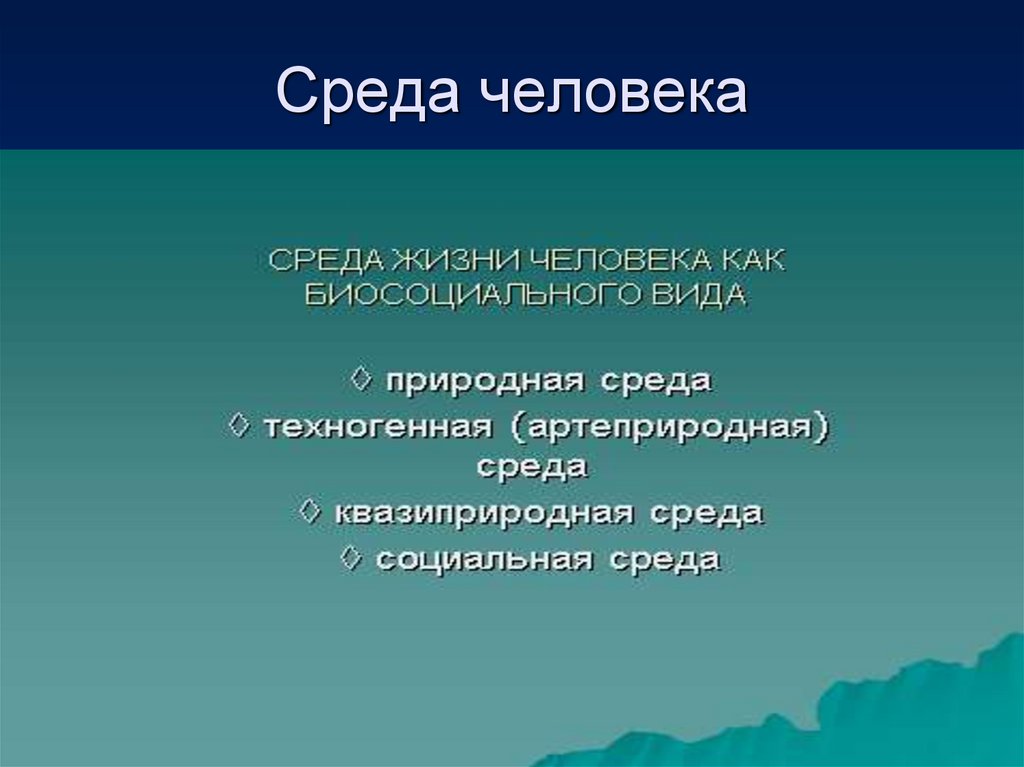 Среда человека