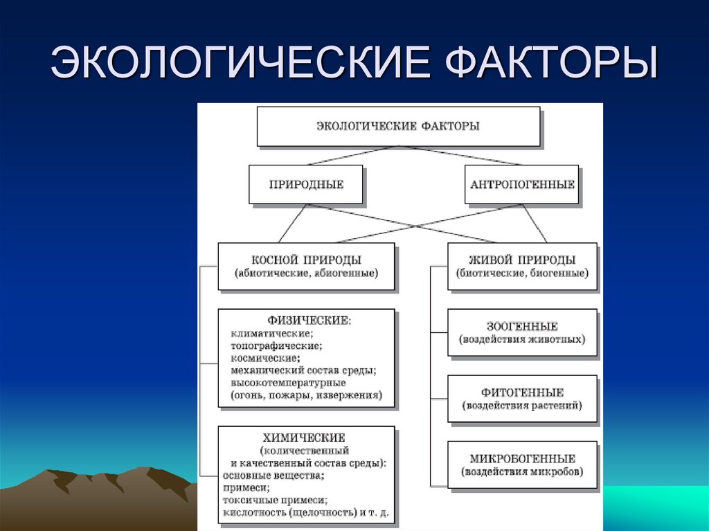 ЭКОЛОГИЧЕСКИЕ ФАКТОРЫ