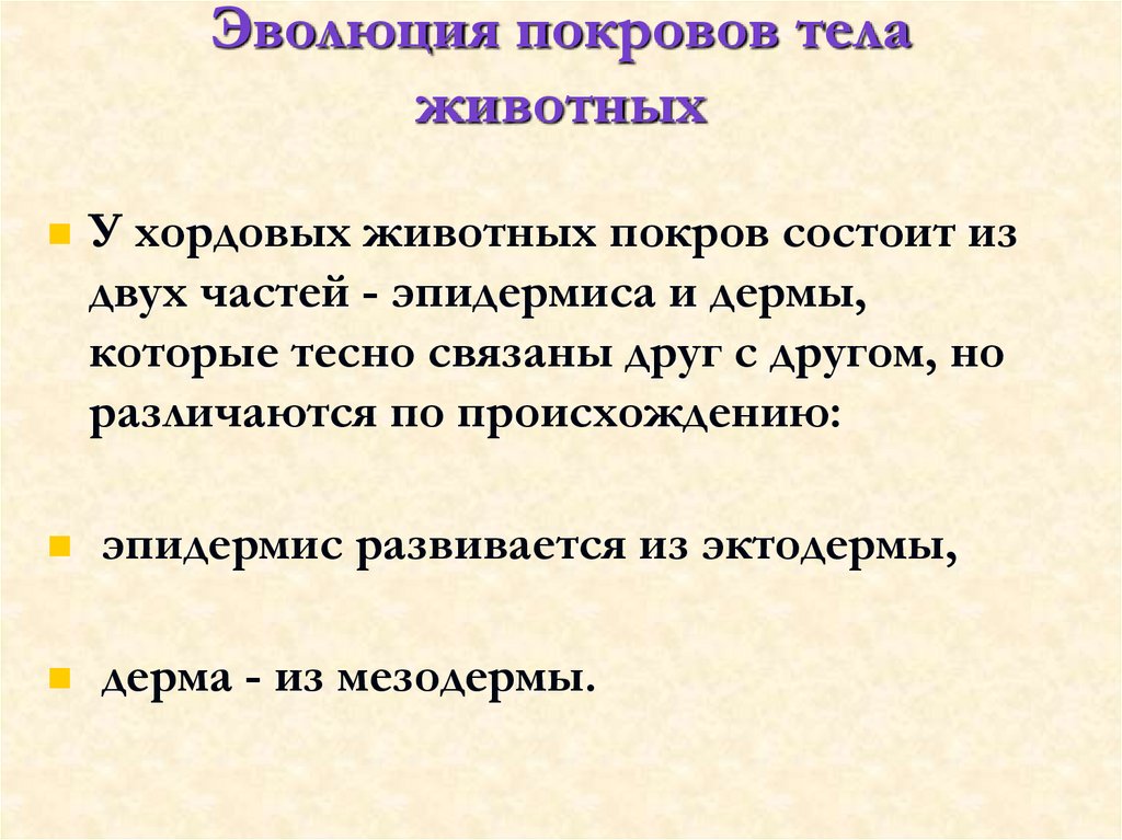 Эволюция покровов тела животных