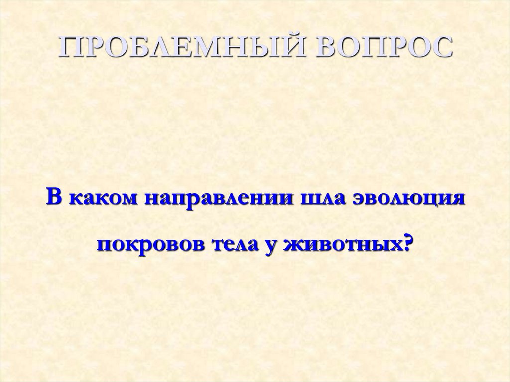 ПРОБЛЕМНЫЙ ВОПРОС