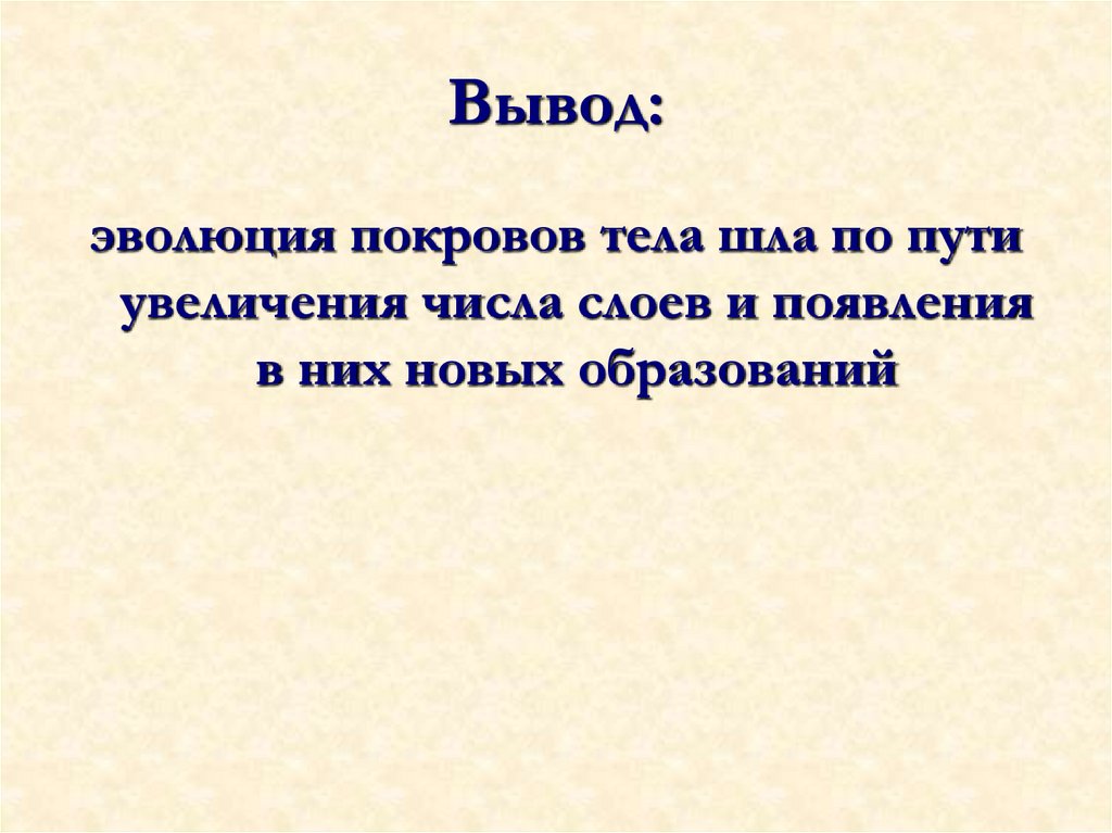 Вывод: