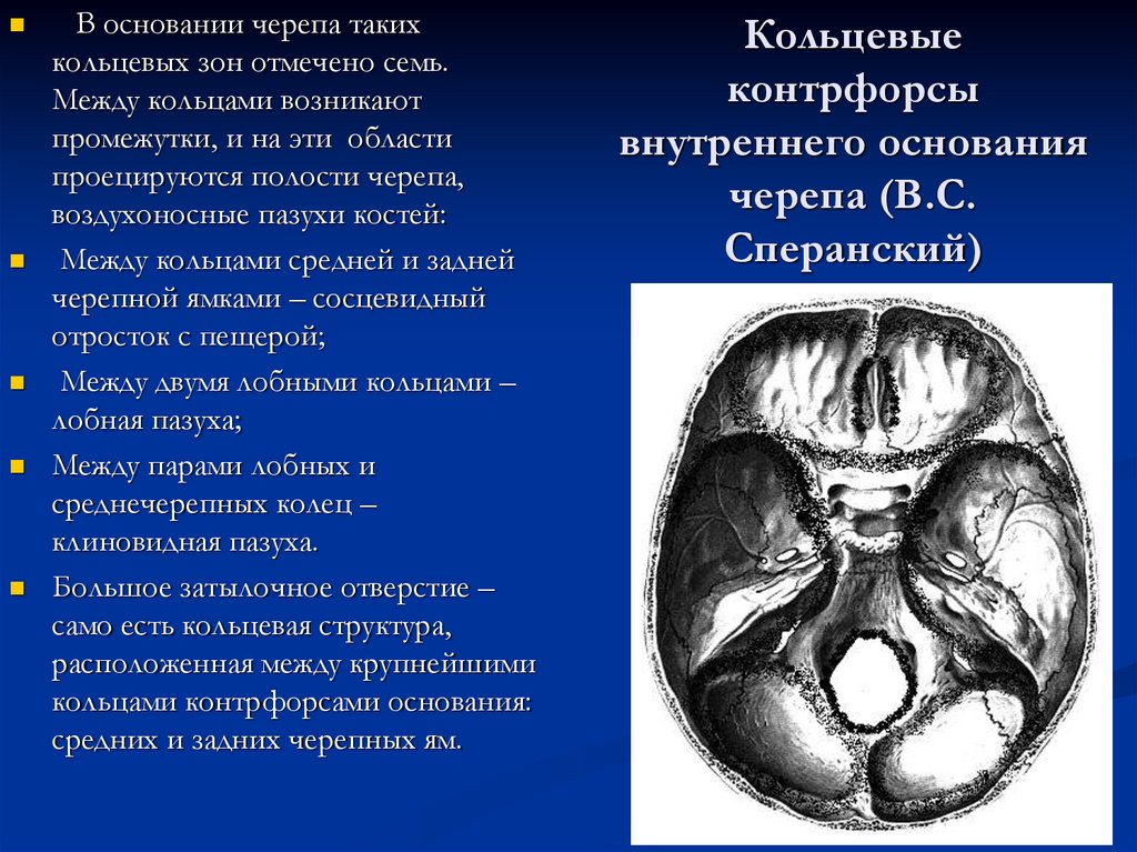 Кольцевые контрфорсы внутреннего основания черепа (В.С. Сперанский)