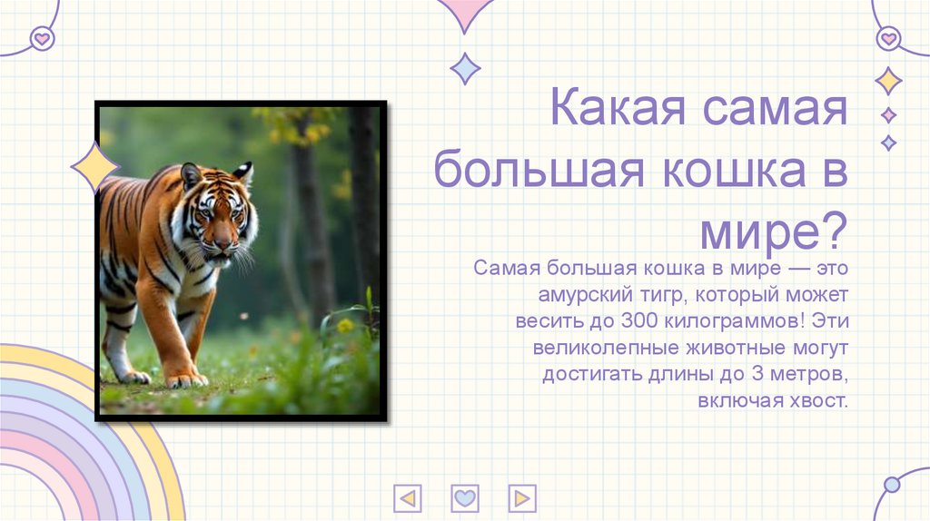 Какая самая большая кошка в мире?