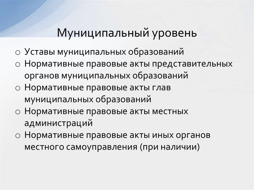 Муниципальный уровень