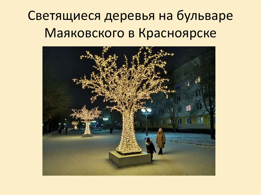 Светящиеся деревья на бульваре Маяковского в Красноярске