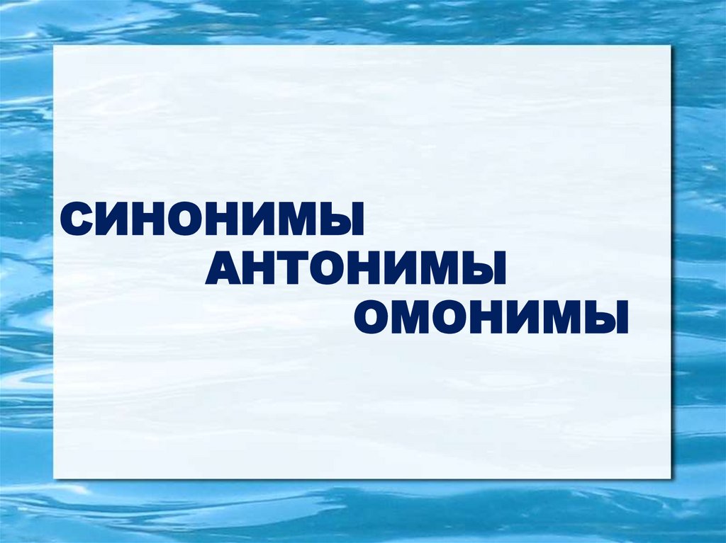 СИНОНИМЫ АНТОНИМЫ ОМОНИМЫ