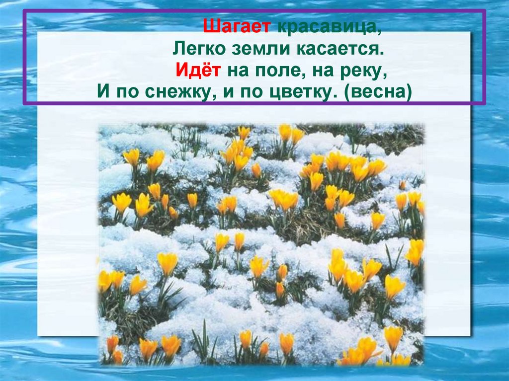 Шагает красавица, Легко земли касается. Идёт на поле, на реку, И по снежку, и по цветку. (весна)