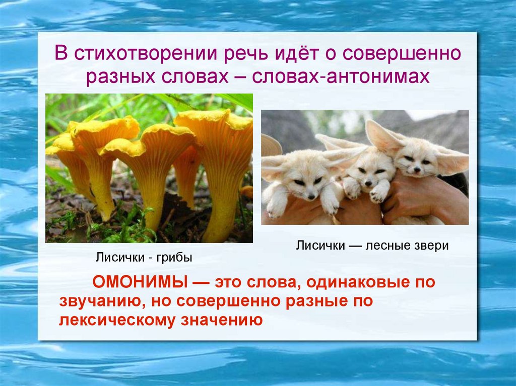 В стихотворении речь идёт о совершенно разных словах – словах-антонимах