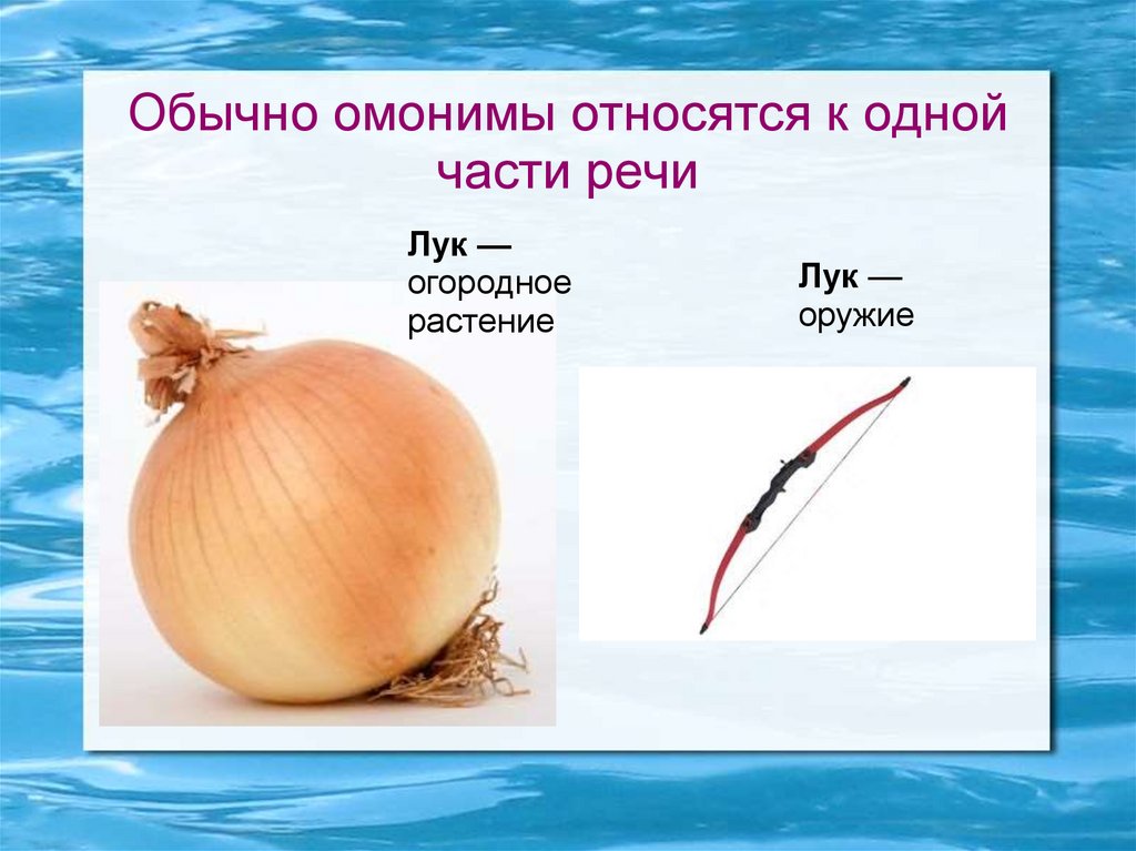 Обычно омонимы относятся к одной части речи