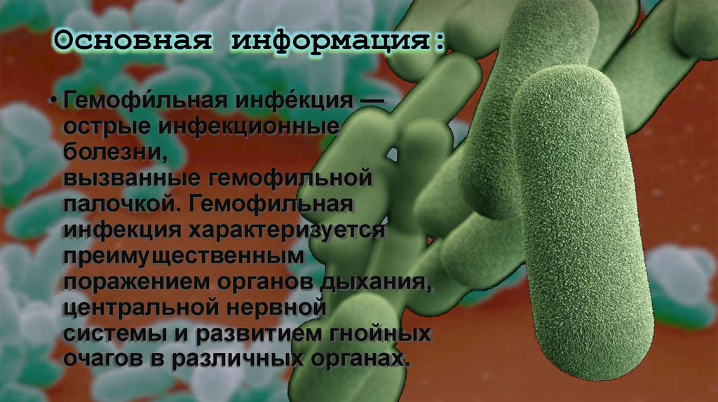 Основная информация: