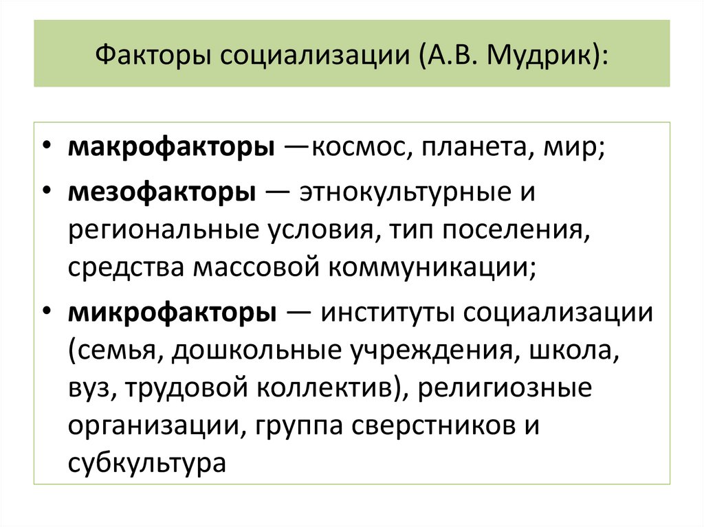 Факторы социализации (А.В. Мудрик):
