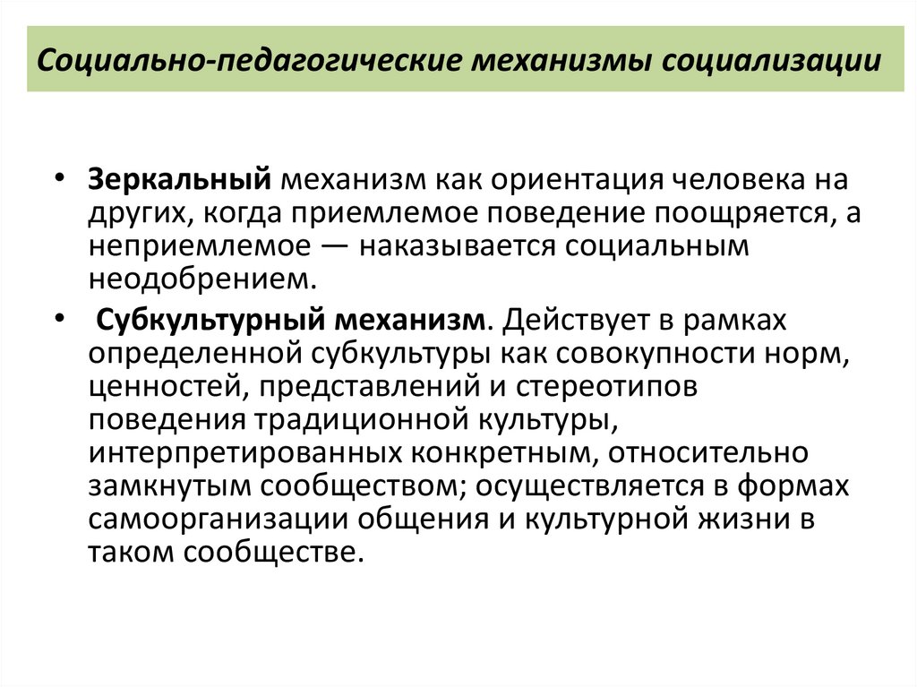 Социально-педагогические механизмы социализации