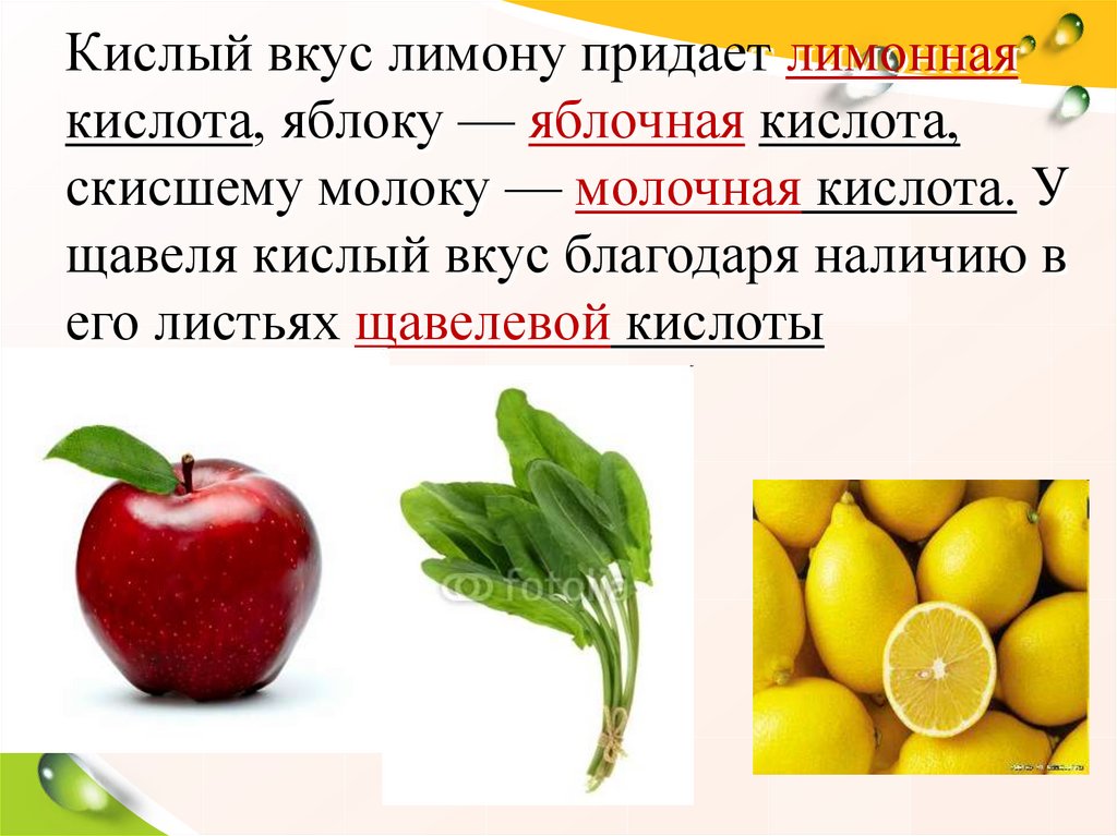 Кислый вкус лимону придает лимонная кислота, яблоку — яблочная кислота, скисшему молоку — молочная кислота. У щавеля кислый