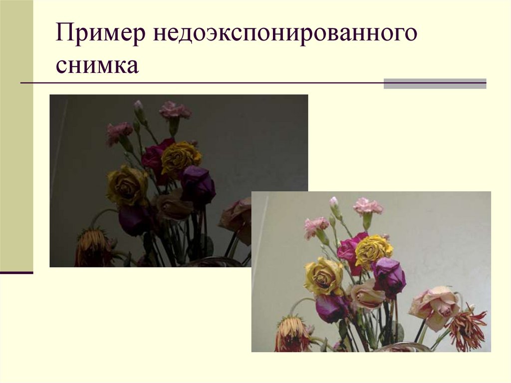 Пример недоэкспонированного снимка